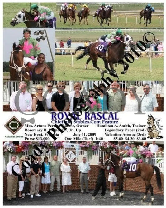 Royal Rascal - Chieftain Stables.com Feature Colonial Downs