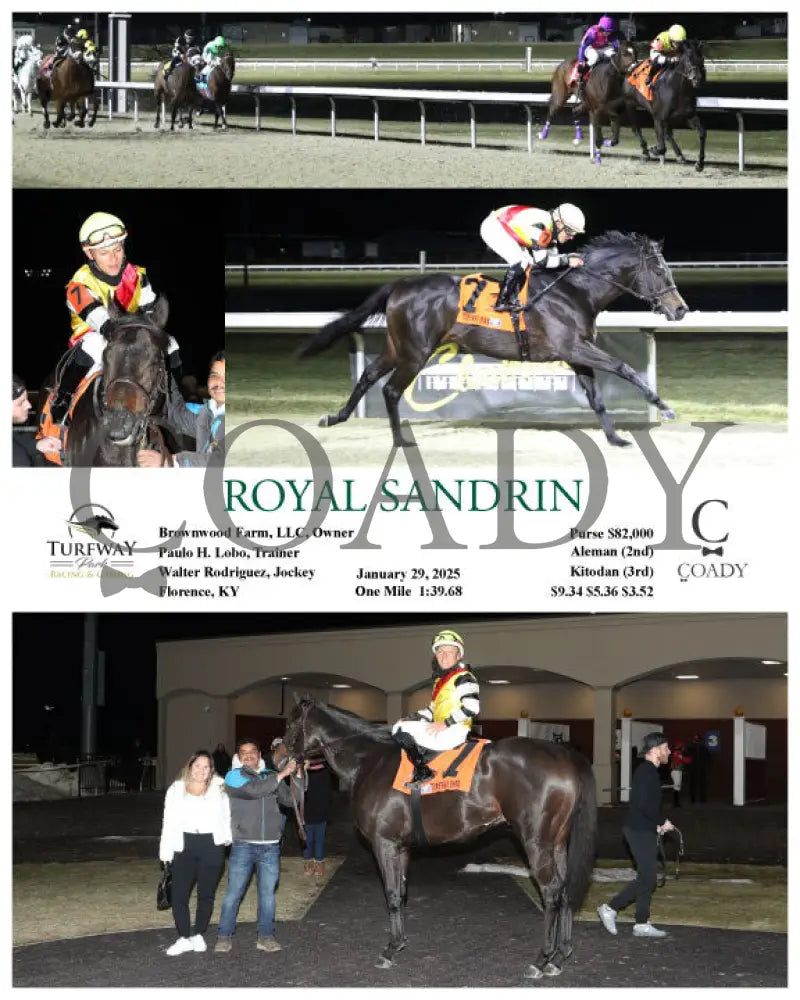 Royal Sandrin - 01-29-25 R05 Tp Turfway Park