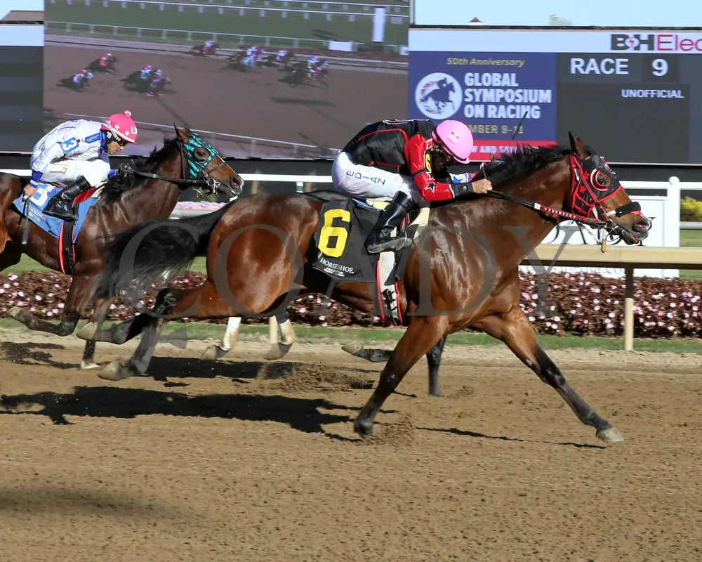 Rr Crown This Jess - Governors Final Consolation Stakes 10-26-24 R09 Horseshoe Indiana Finish 01
