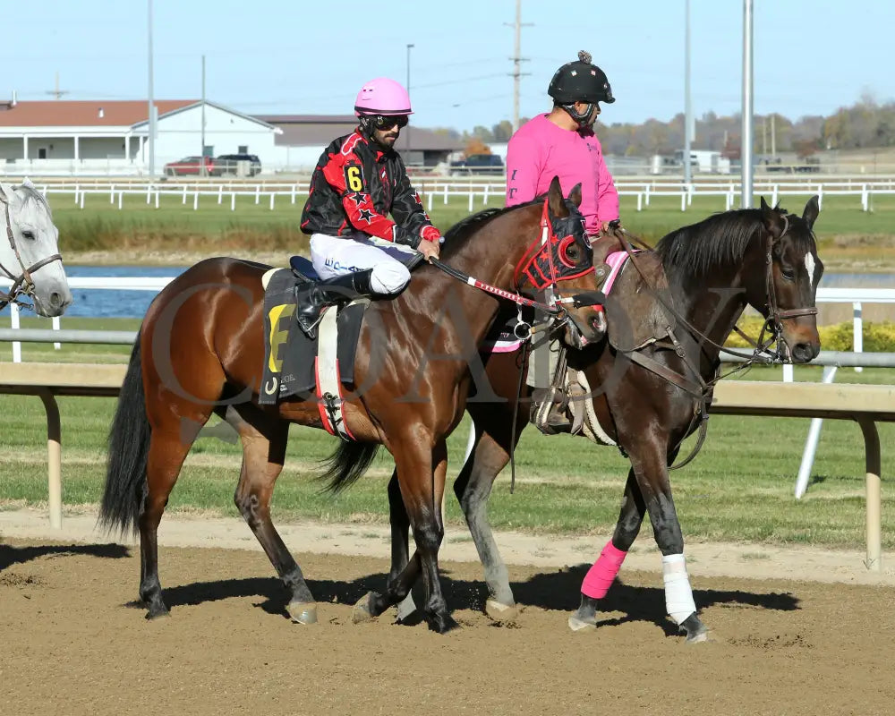 Rr Crown This Jess - Governors Final Consolation Stakes 10-26-24 R09 Horseshoe Indiana Post Parade