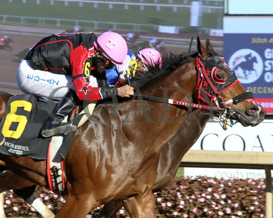 Rr Crown This Jess - Governors Final Consolation Stakes 10-26-24 R09 Horseshoe Indiana Tight Finish
