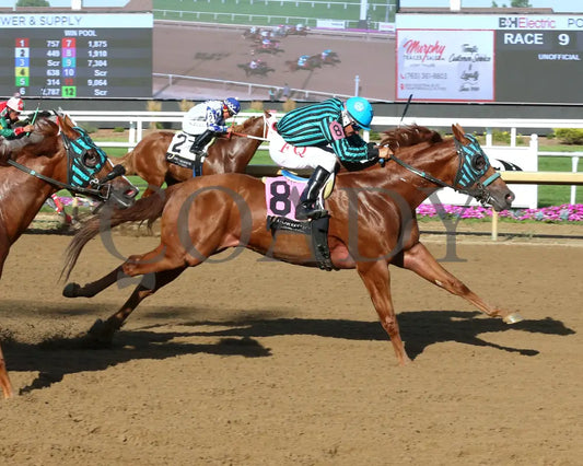 RR LOTTA RUNFORRBYN - Paul Martin Overnight Stakes - 08-05-25 - R09 - Horseshoe Indiana - Finish 01 - Sammantha Pagels - Coady Media - Kurtis Coady Photography