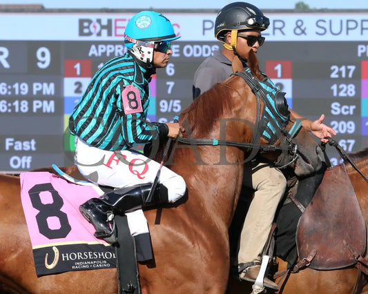 RR LOTTA RUNFORRBYN - Paul Martin Overnight Stakes - 08-05-25 - R09 - Horseshoe Indiana - Post Parade 01 - Sammantha Pagels - Coady Media - Kurtis Coady Photography