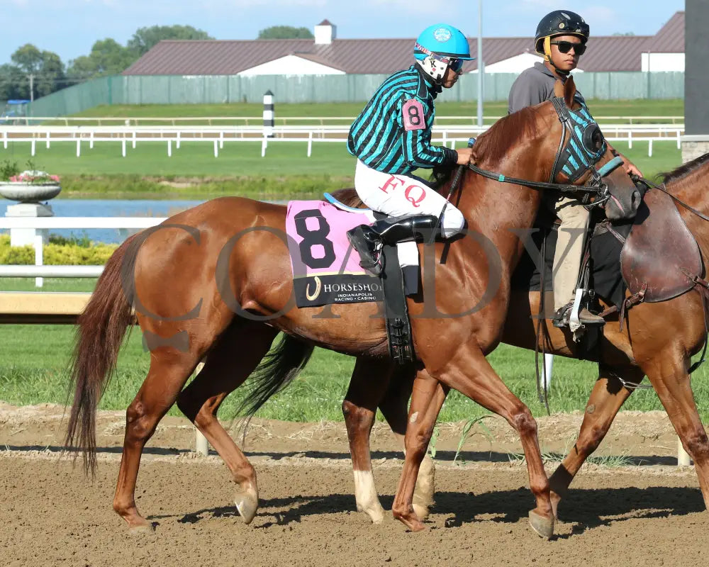 RR LOTTA RUNFORRBYN - Paul Martin Overnight Stakes - 08-05-25 - R09 - Horseshoe Indiana - Post Parade 02 - Sammantha Pagels - Coady Media - Kurtis Coady Photography