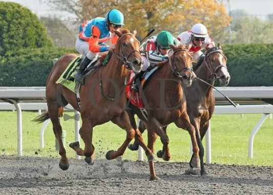 Run A Risk - 1 102111 Race 07 Keeneland