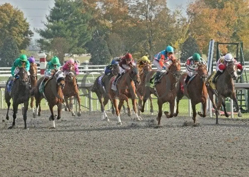 Run A Risk - 3 102111 Race 07 Keeneland