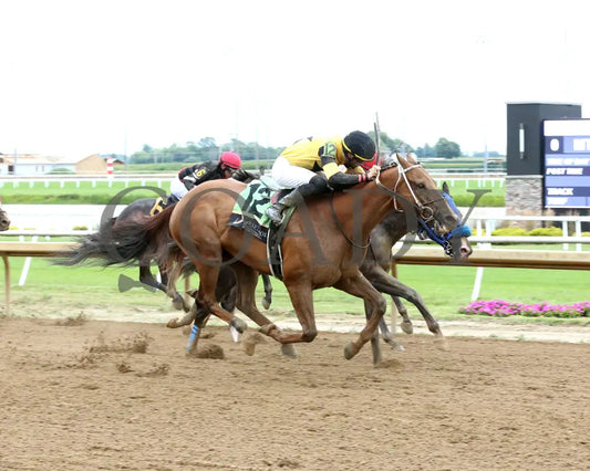 RUN AWAY ROJO The Bucchero 21st Running 08 20 25 R08 Horseshoe Indiana Finish 01 Sammantha Pagels Indiana Grand