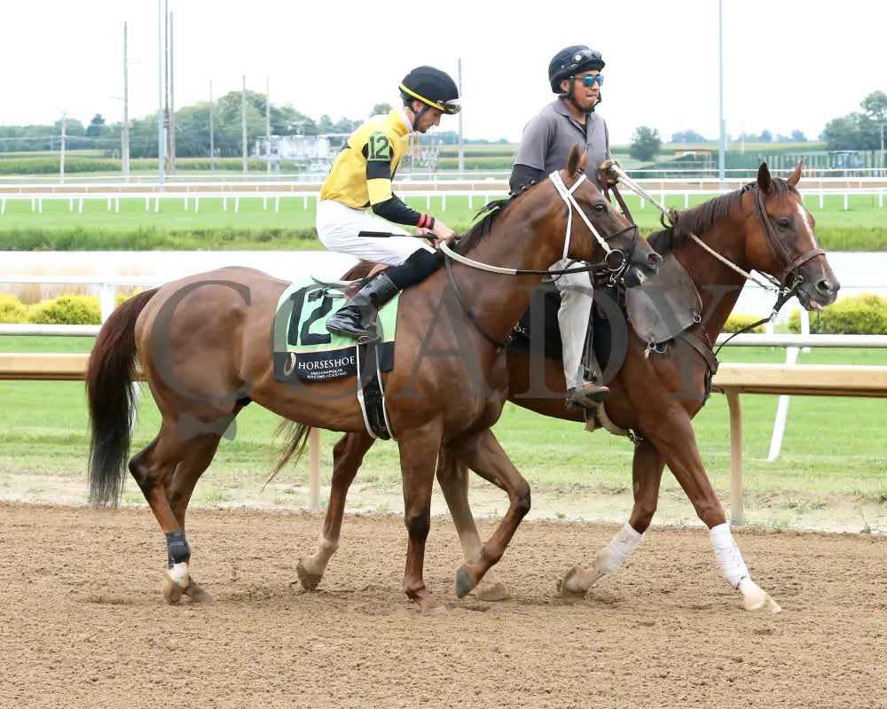 RUN AWAY ROJO The Bucchero 21st Running 08 20 25 R08 Horseshoe Indiana Post Parade 01 Eli Davis Indiana Grand
