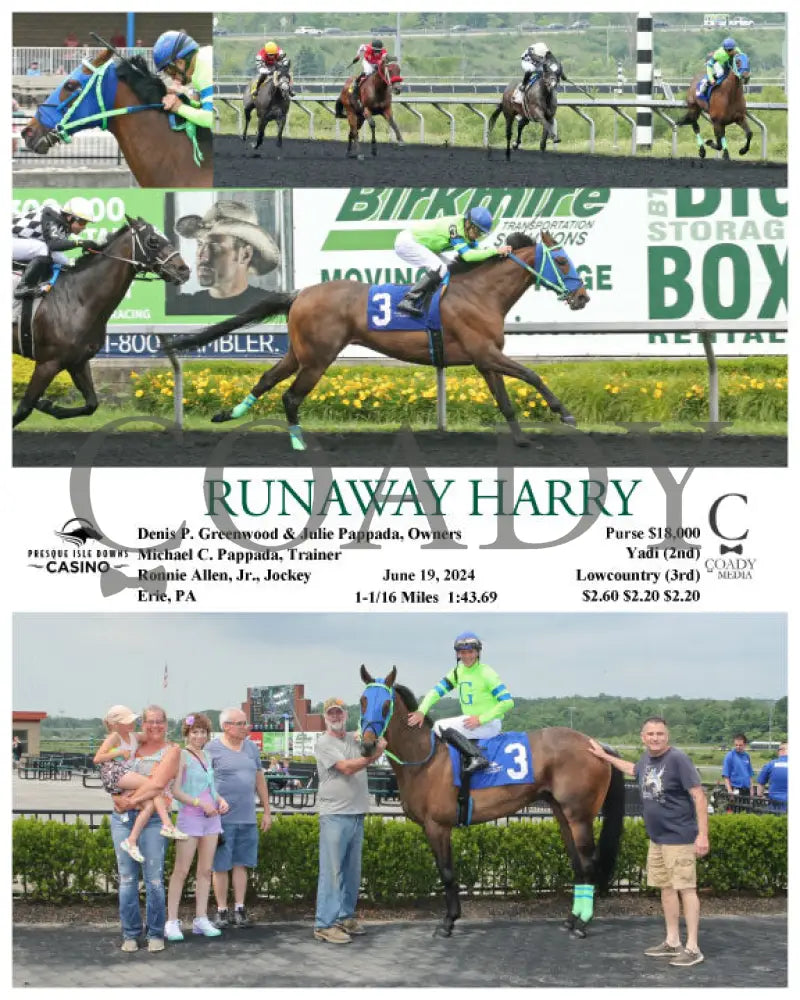 Runaway Harry - 06-19-24 R07 Pid Presque Isle Downs