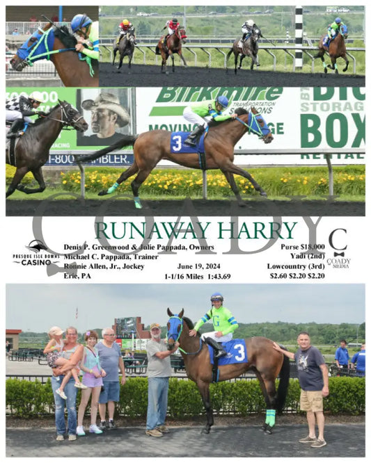 Runaway Harry - 06-19-24 R07 Pid Presque Isle Downs