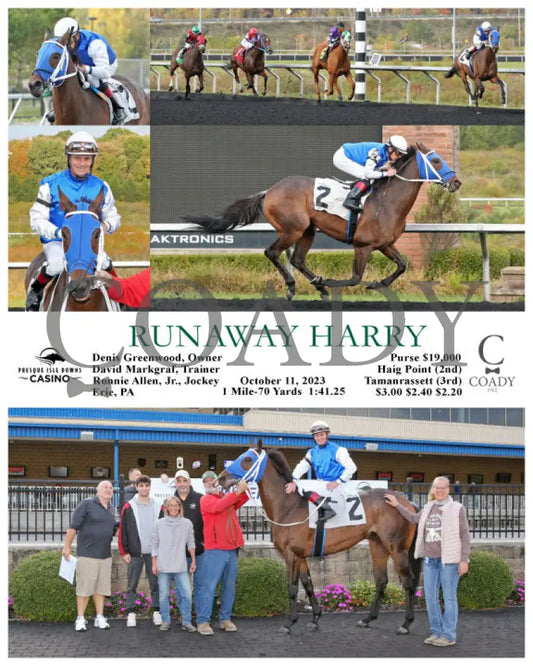 Runaway Harry - 10-11-23 R06 Pid Presque Isle Downs