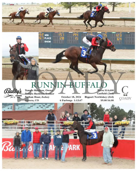 Runnin Buffalo - 10-18-24 R05 Arp Arapahoe Park