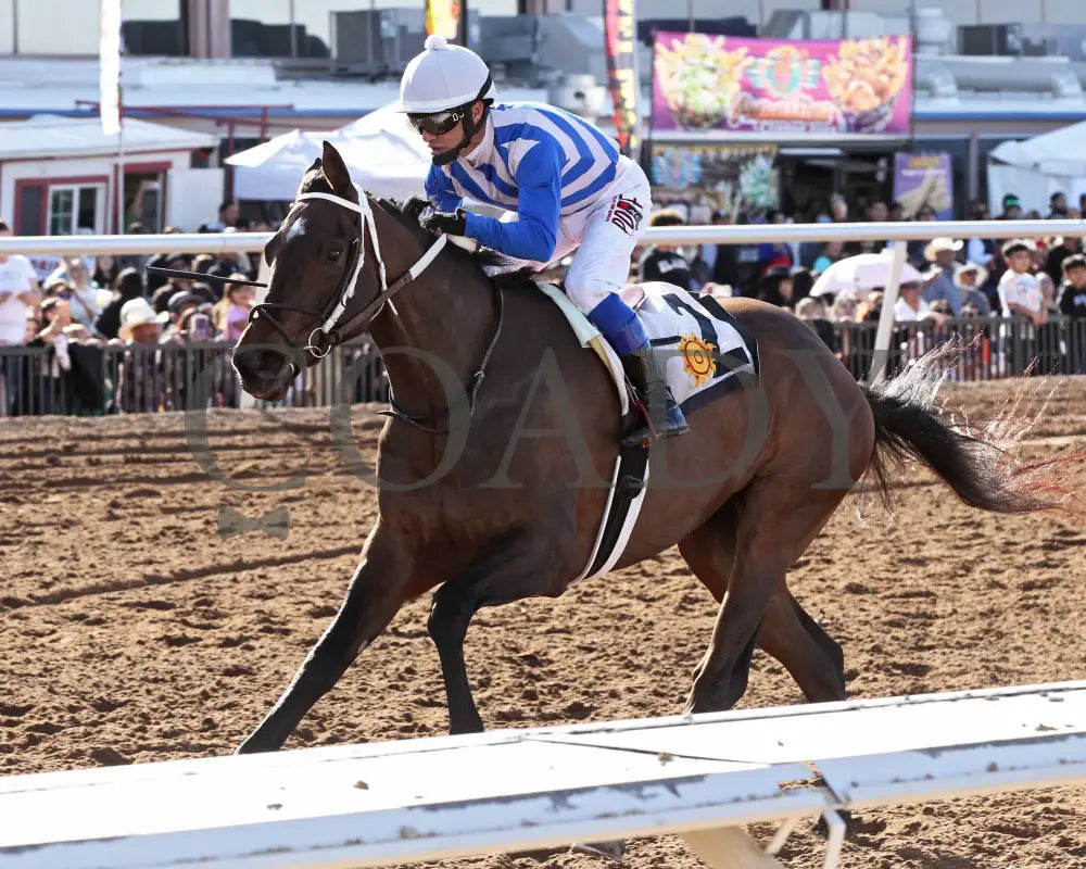 RUNNIN N GUNNIN - Sunland Park Oaks - 22nd Running - 02-16-25 - R07 - Sunland Park - Inside Finish Turfway Park
