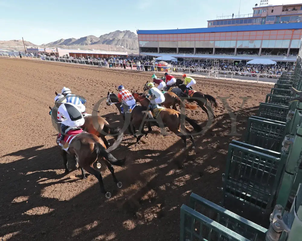 RUNNIN N GUNNIN - Sunland Park Oaks - 22nd Running - 02-16-25 - R07 - Sunland Park - Starting Gate 2 Turfway Park