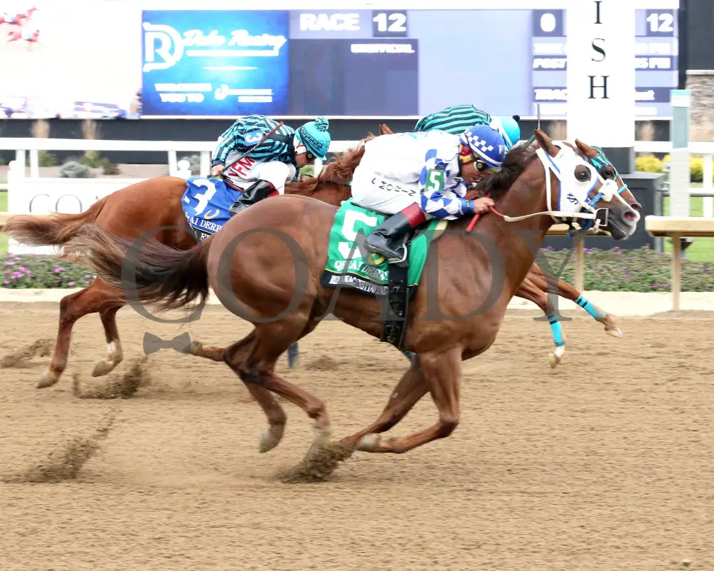 RUNNINAGAINSTDWIND - QHRAI Derby Final - 10-25-25 - R12 - Horseshoe Indiana - Finish 01 - Sammantha Pagels Indiana Grand