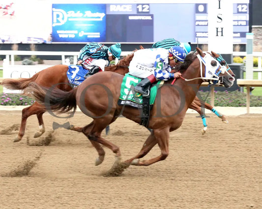 RUNNINAGAINSTDWIND - QHRAI Derby Final - 10-25-25 - R12 - Horseshoe Indiana - Finish 01 - Sammantha Pagels Indiana Grand