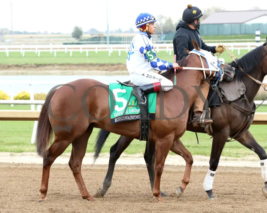 RUNNINAGAINSTDWIND - QHRAI Derby Final - 10-25-25 - R12 - Horseshoe Indiana - Post Parade 01 - Sammantha Pagels Indiana