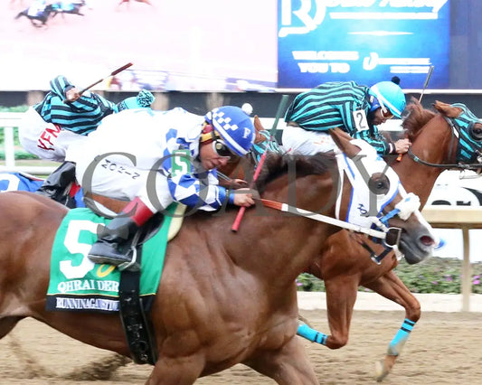 RUNNINAGAINSTDWIND - QHRAI Derby Final - 10-25-25 - R12 - Horseshoe Indiana - Tight Finish 01 - Sammantha Pagels