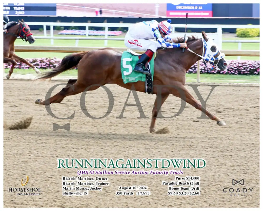 Runninagainstdwind - Qhrai Stallion Service Auction Futurity Trials 08-10-24 R03 Ind Action Indiana