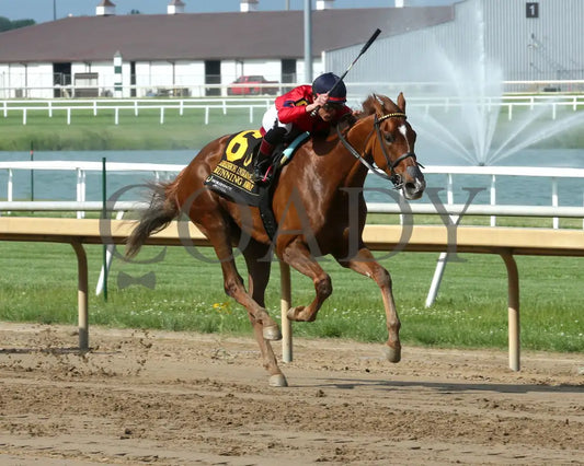 RUNNING AWAY - Horseshoe Indianapolis - 17th Running - 05-14-25 - R07 - Horseshoe Indiana - Finish 02 - Sammantha