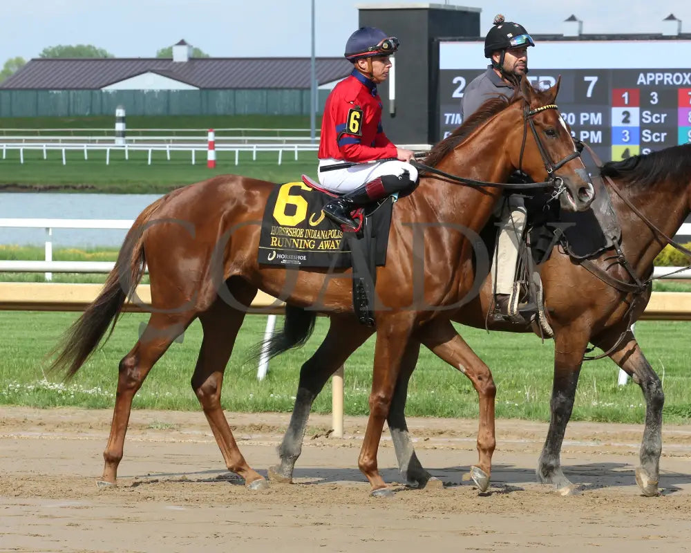 RUNNING AWAY - Horseshoe Indianapolis - 17th Running - 05-14-25 - R07 - Horseshoe Indiana - Post Parade 02 - Sammantha
