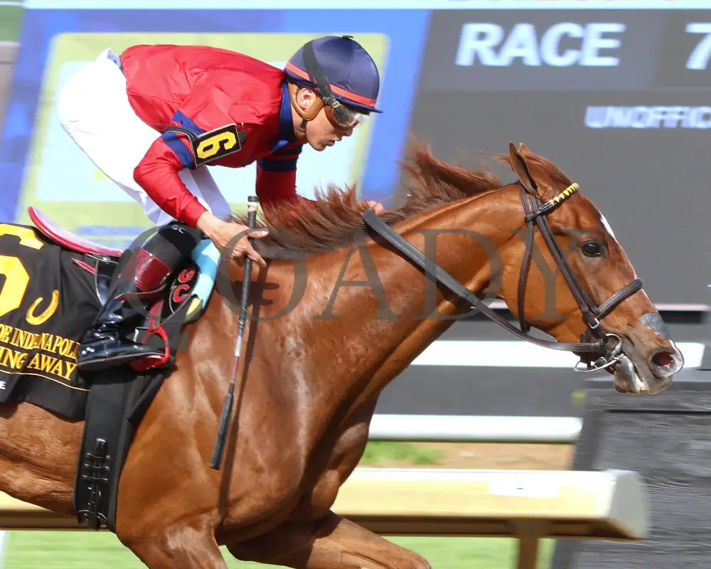 RUNNING AWAY - Horseshoe Indianapolis - 17th Running - 05-14-25 - R07 - Horseshoe Indiana - Tight Finish 01 - Eve