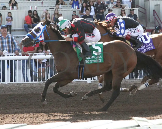 Running To The Moon - Rainbow Quarter Horse Oaks G1 07-28-24 R11 The Downs At Albuquerque Inside
