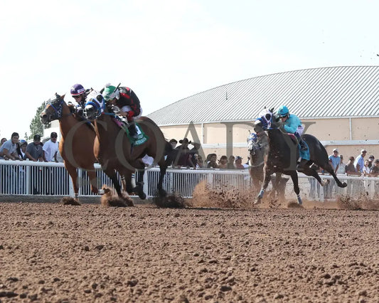 Running To The Moon - Rainbow Quarter Horse Oaks G1 07-28-24 R11 The Downs At Albuquerque Under Rail