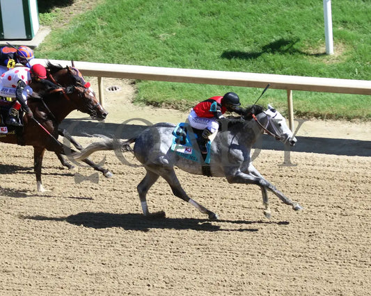 Rushie - Pat Day Mile G2 96Th Running 09-05-20 R09 Cd Aerial Finish 01 Churchill Downs