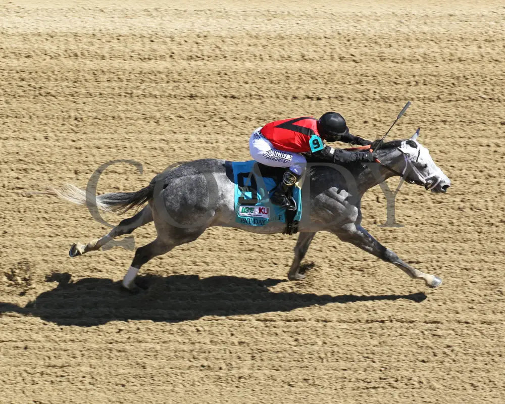 Rushie - Pat Day Mile G2 96Th Running 09-05-20 R09 Cd Aerial Finish 02 Churchill Downs