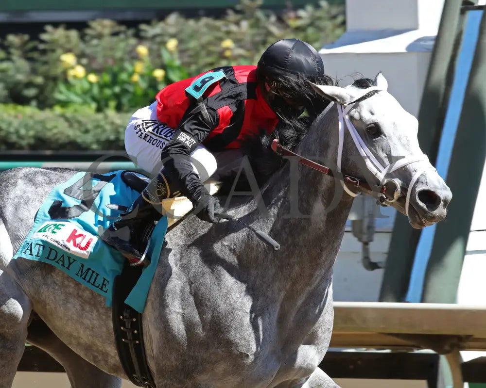 Rushie - Pat Day Mile G2 96Th Running 09-05-20 R09 Cd Finish 03 Churchill Downs