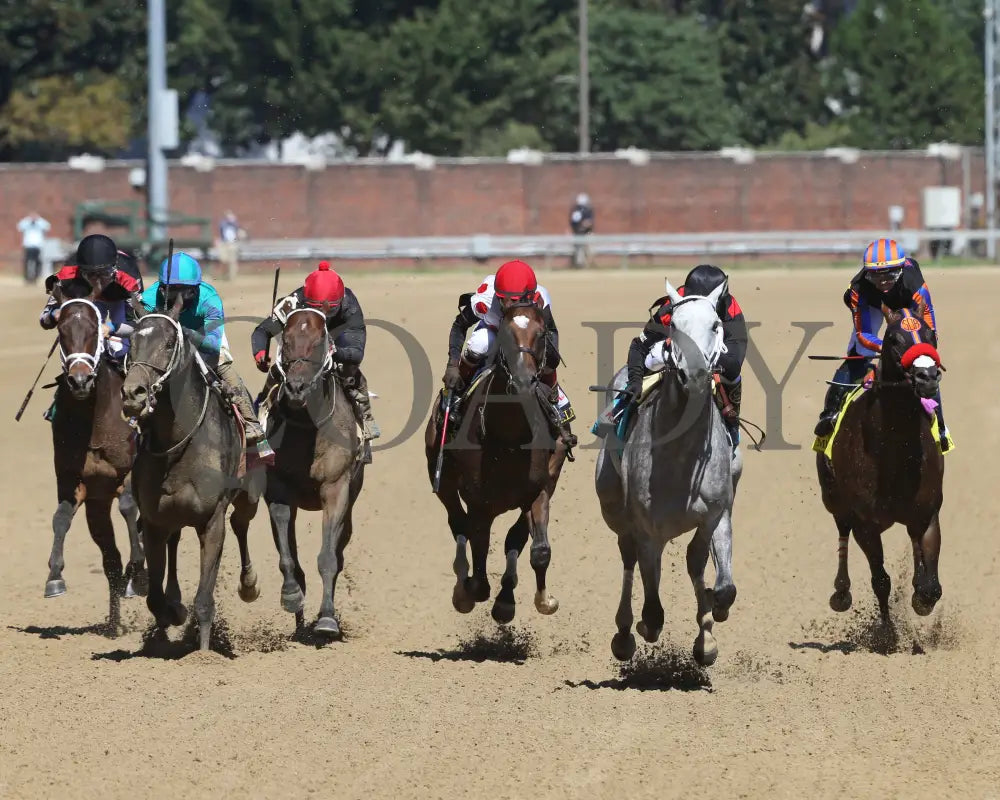 Rushie - Pat Day Mile G2 96Th Running 09-05-20 R09 Cd Head On 01 Churchill Downs
