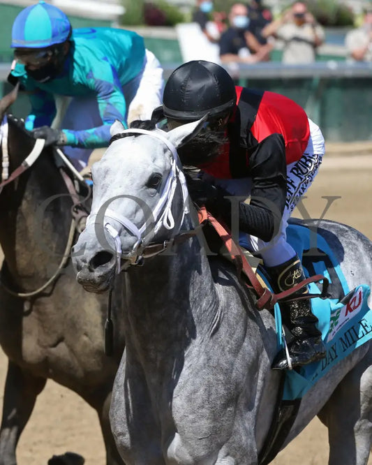 Rushie - Pat Day Mile G2 96Th Running 09-05-20 R09 Cd Inside Finish 03 Churchill Downs