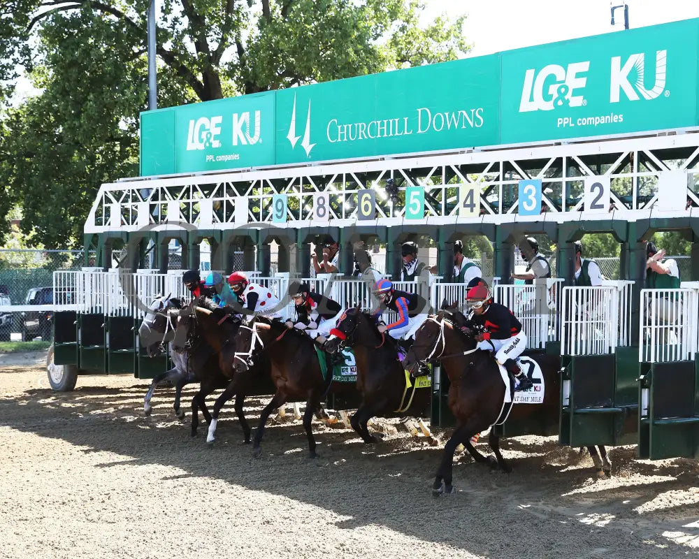 Rushie - Pat Day Mile G2 96Th Running 09-05-20 R09 Cd Start 01 Churchill Downs