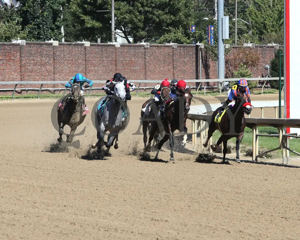 Rushie - Pat Day Mile G2 96Th Running 09-05-20 R09 Cd Turn 01 Churchill Downs