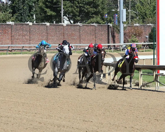 Rushie - Pat Day Mile G2 96Th Running 09-05-20 R09 Cd Turn 01 Churchill Downs