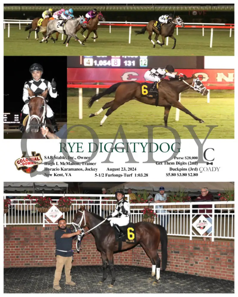Rye Diggitydog - 08-23-24 R09 Cnl Colonial Downs