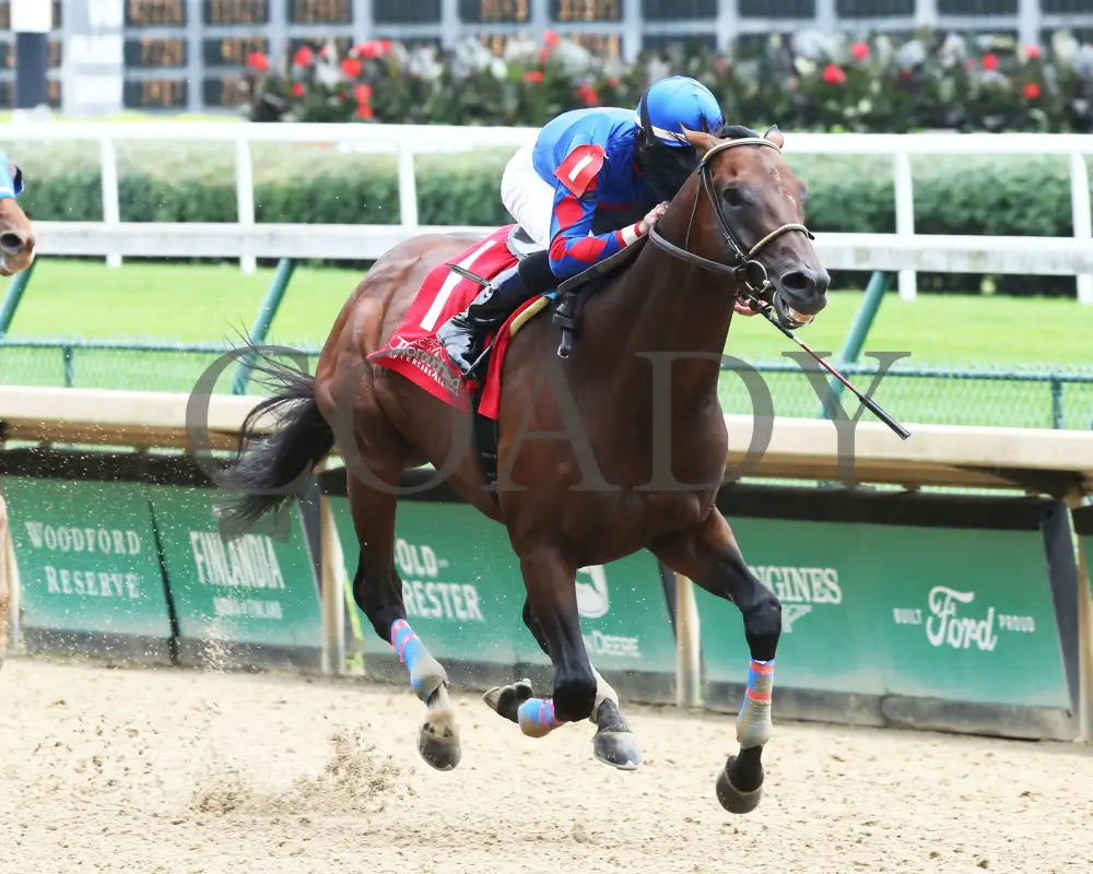 Ry’s The Guy - Champions Day Marathon Overnight Stakes 2Nd Running 09-01-20 R04 Cd Finish 02