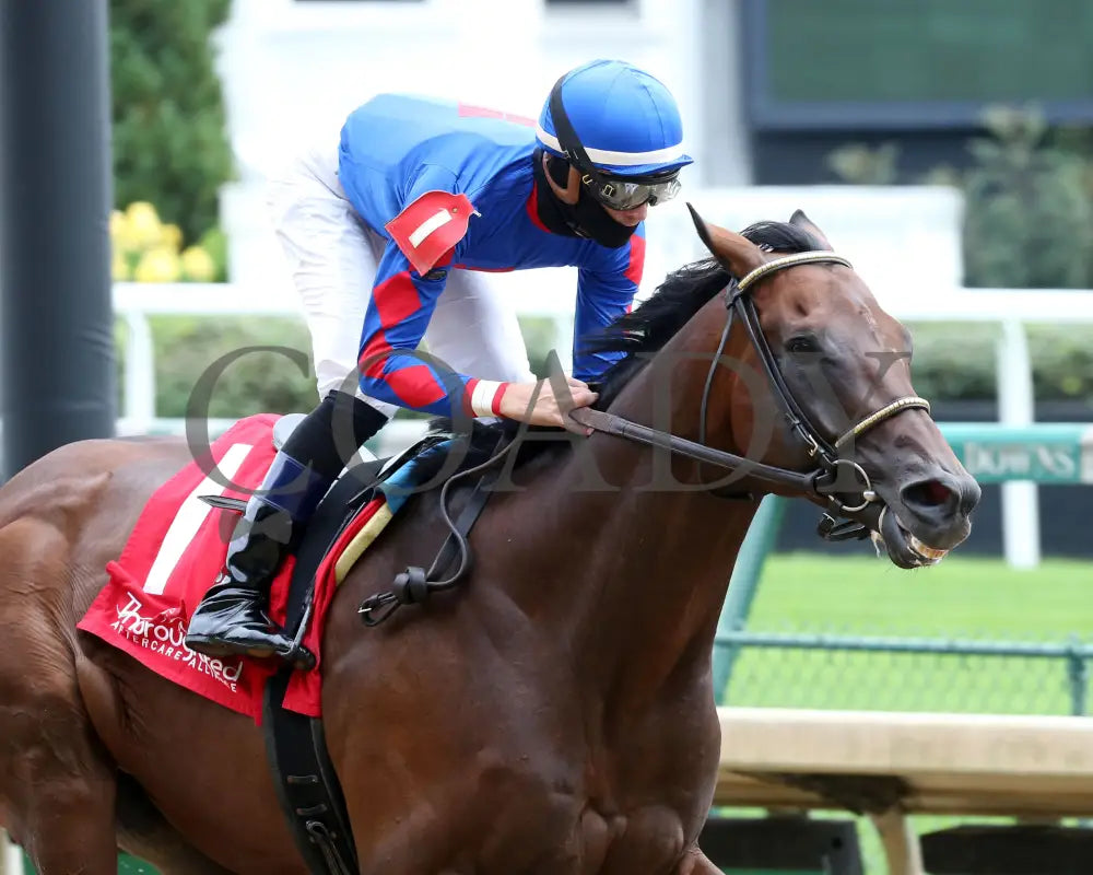 Ry’s The Guy - Champions Day Marathon Overnight Stakes 2Nd Running 09-01-20 R04 Cd Finish 03