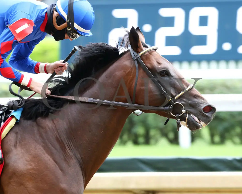 Ry’s The Guy - Champions Day Marathon Overnight Stakes 2Nd Running 09-01-20 R04 Cd Finish 04