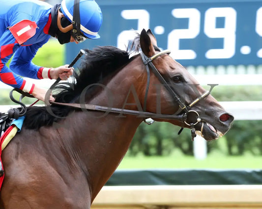 Ry’s The Guy - Champions Day Marathon Overnight Stakes 2Nd Running 09-01-20 R04 Cd Finish 04