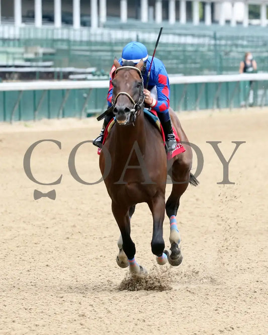 Ry’s The Guy - Champions Day Marathon Overnight Stakes 2Nd Running 09-01-20 R04 Cd Inside Finish