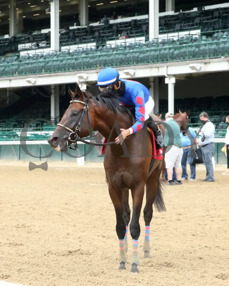 Ry’s The Guy - Champions Day Marathon Overnight Stakes 2Nd Running 09-01-20 R04 Cd Post Race 02