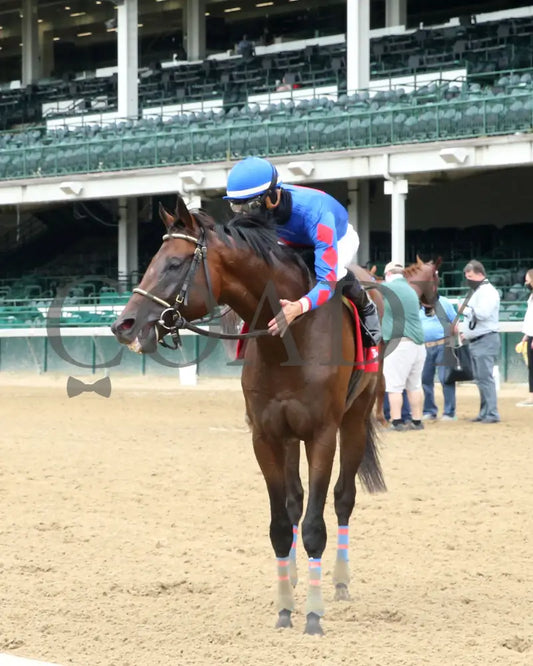 Ry’s The Guy - Champions Day Marathon Overnight Stakes 2Nd Running 09-01-20 R04 Cd Post Race 02