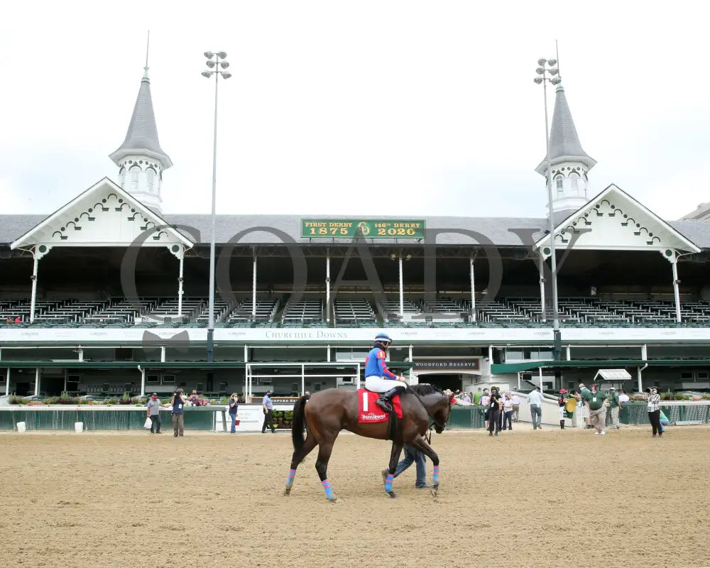 Ry’s The Guy - Champions Day Marathon Overnight Stakes 2Nd Running 09-01-20 R04 Cd Post Race 03