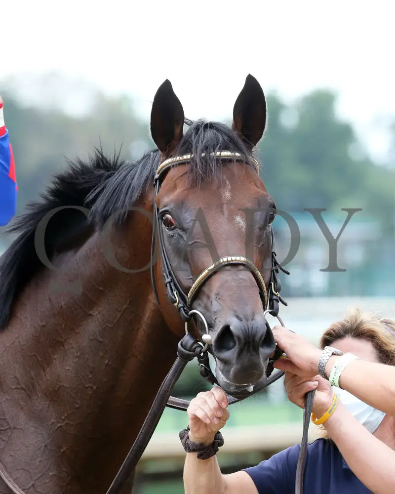 Ry’s The Guy - Champions Day Marathon Overnight Stakes 2Nd Running 09-01-20 R04 Cd Post Race 04