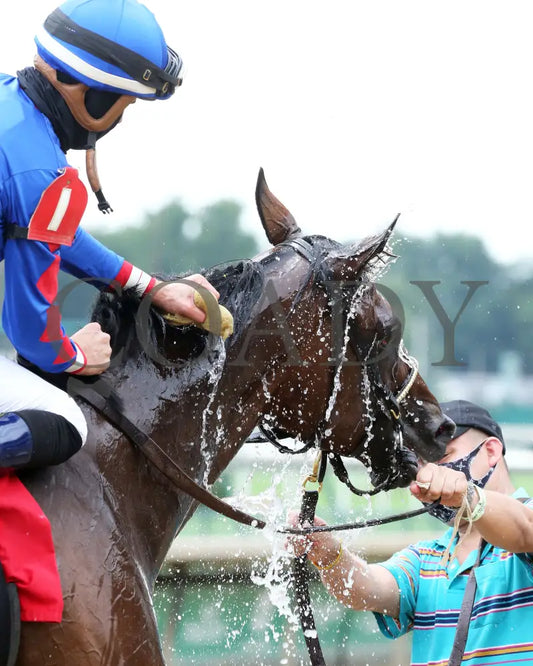 Ry’s The Guy - Champions Day Marathon Overnight Stakes 2Nd Running 09-01-20 R04 Cd Post Race 05