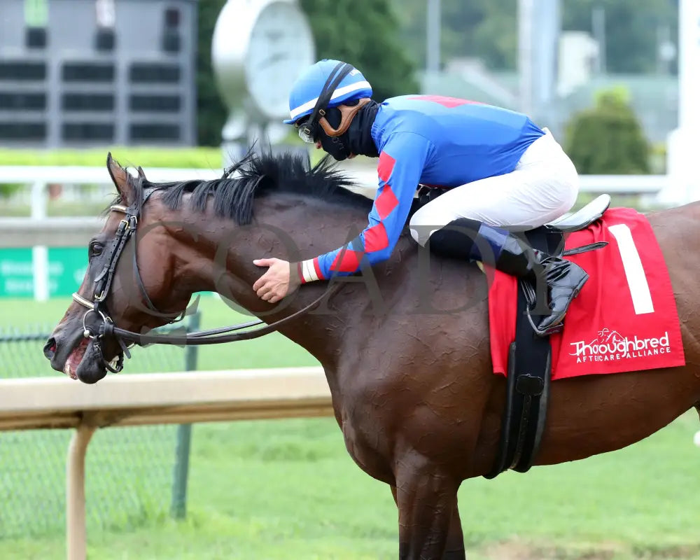 Ry’s The Guy - Champions Day Marathon Overnight Stakes 2Nd Running 09-01-20 R04 Cd Post Race 07