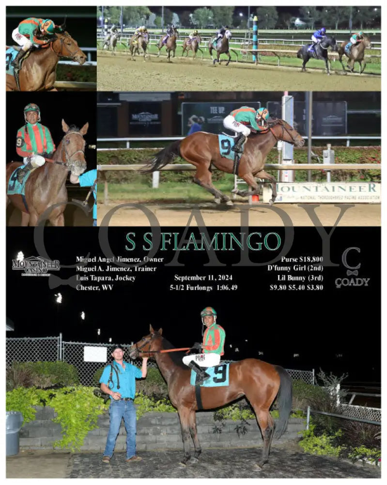 S Flamingo - 09-11-24 R06 Mnr Mountaineer Park