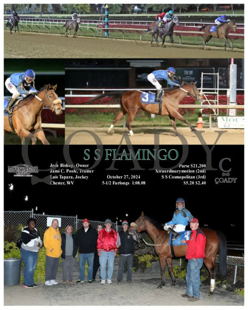 S Flamingo - 10-27-24 R06 Mnr Mountaineer Park